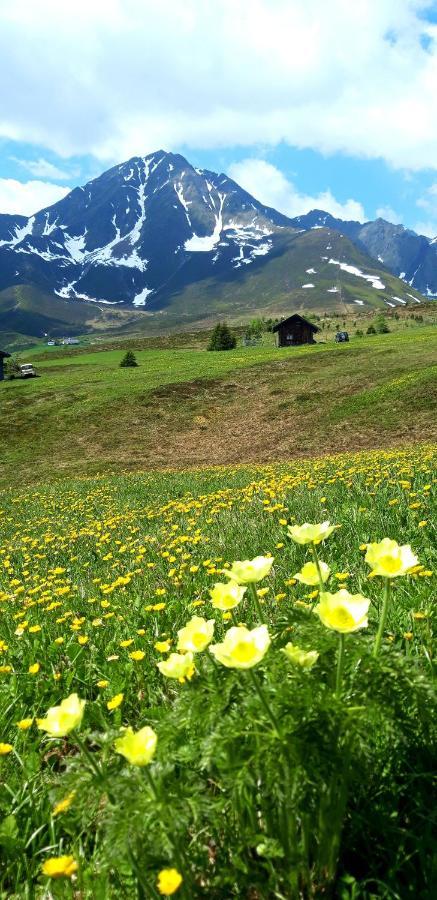 Lacknerhof Oberperfuss Exteriör bild